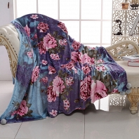 Плед Провансаль №4 Sofi de Marko Plaids 160х220см