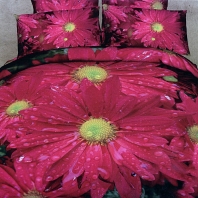 Хризантемы КПБ сатин 7Е Sofi de Marko Bedding Sets